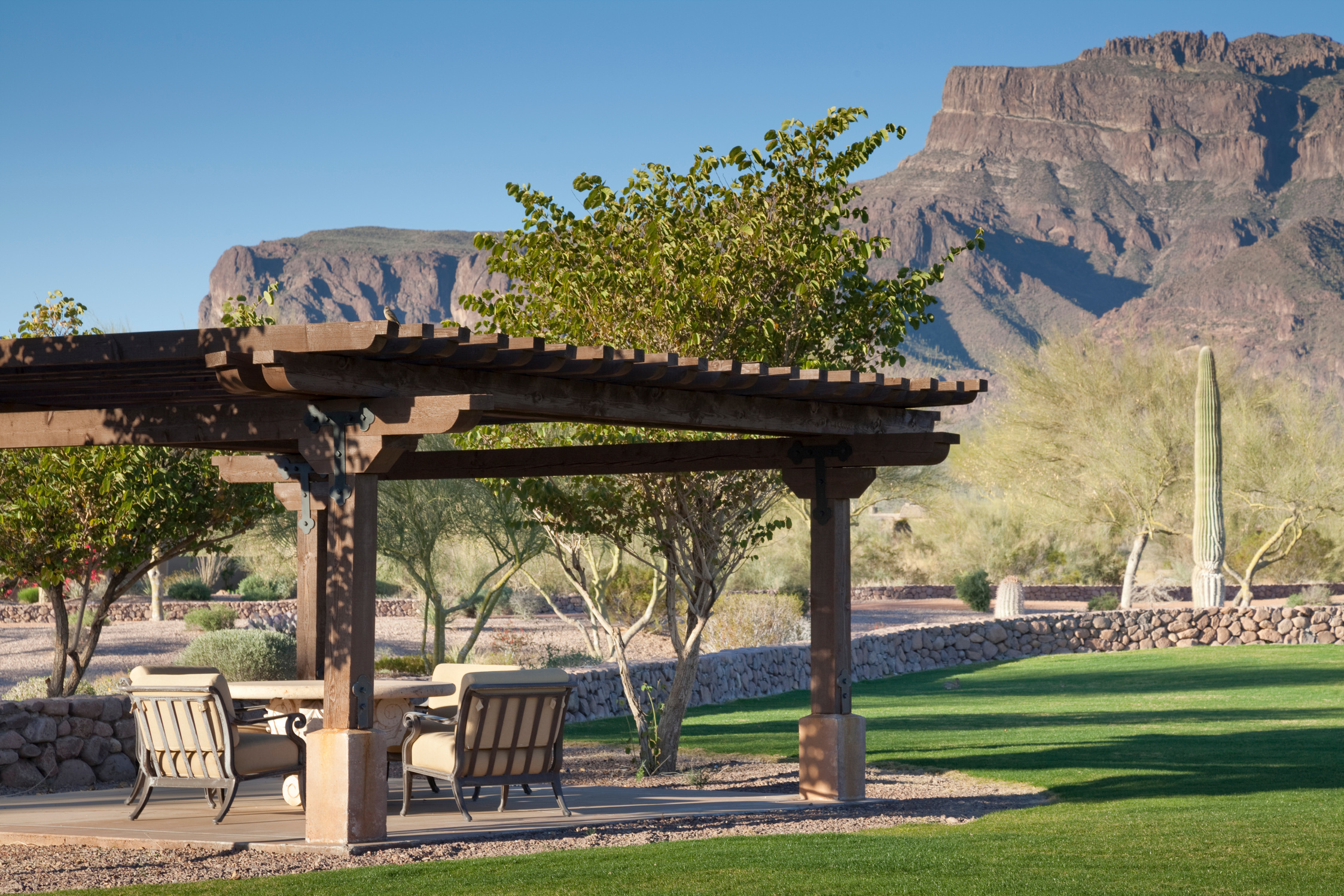 Desert Community Common Area